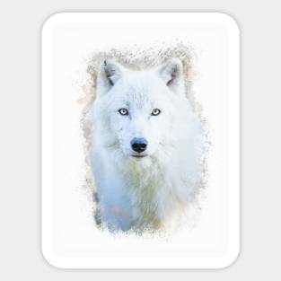 White Wolf Animal Wildlife Jungle Nature Freedom Forest Digital Painting Sticker